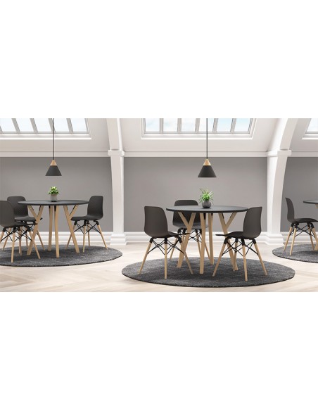 Mesa de Colectividades NEXOS - Redonda