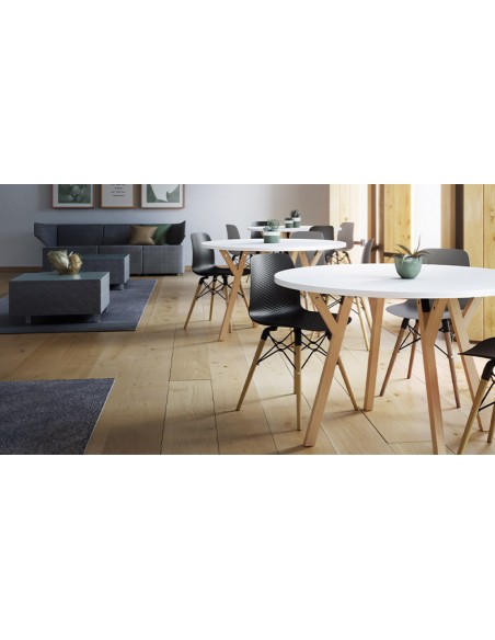 Mesa de Colectividades NEXOS - Redonda