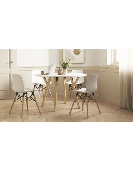 Mesa de Colectividades NEXOS - Redonda