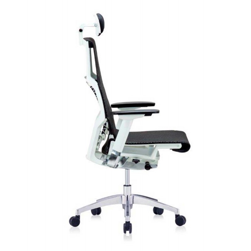 Silla Direccional Pofit