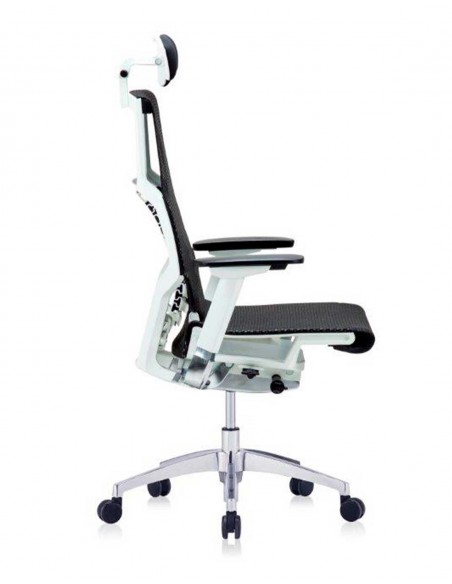 Silla Direccional Pofit