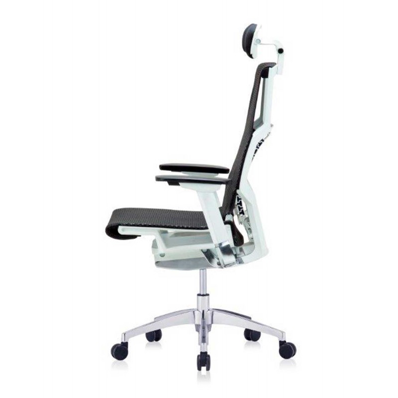 Silla Direccional Pofit