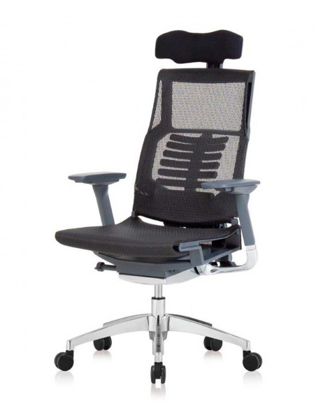 Silla Direccional Pofit