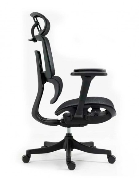 Silla de Director - Winner