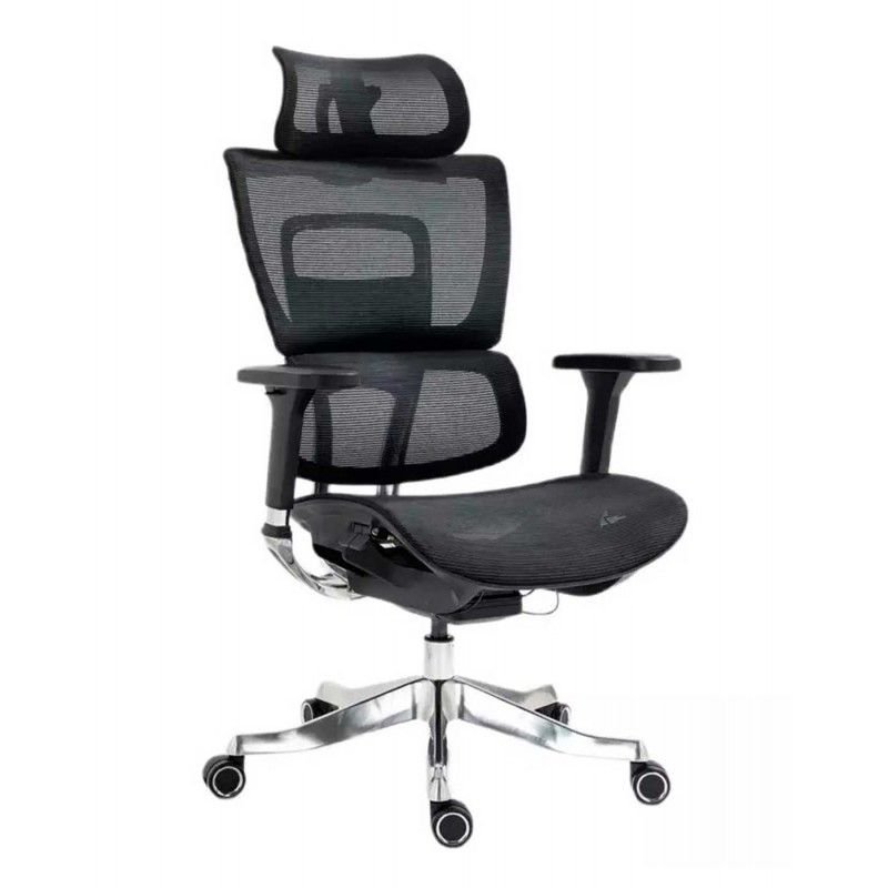 Silla de Director - Winner LUX