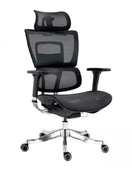 Silla de Director - Winner LUX