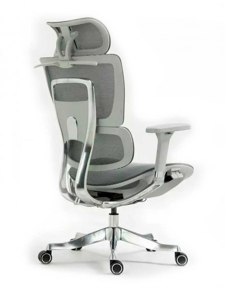 Silla de Director - Winner LUX