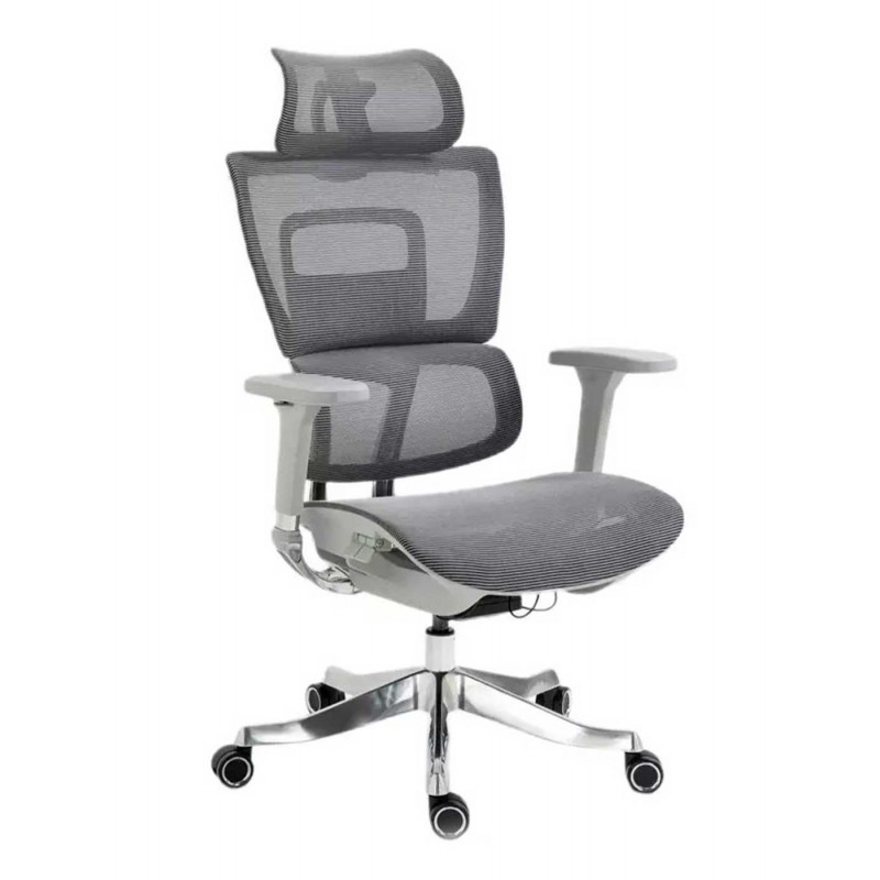Silla de Director - Winner LUX