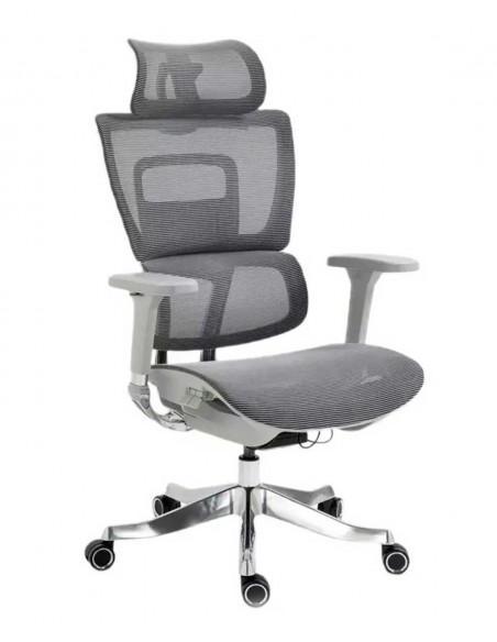 Silla de Director - Winner LUX