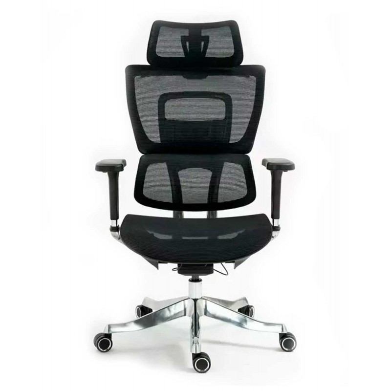 Silla de Director - Winner LUX