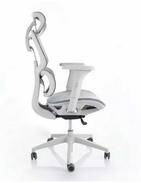 Silla de Director - Devon