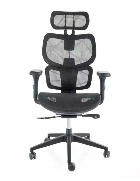 Silla de Director - Devon