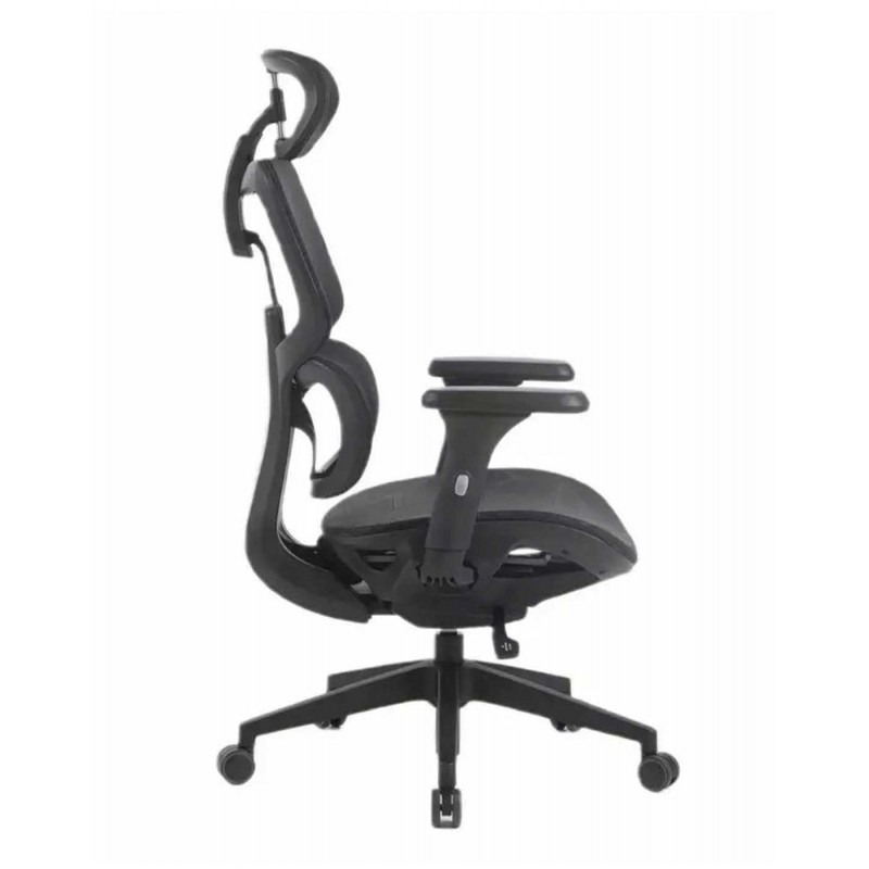 Silla de Director - Devon