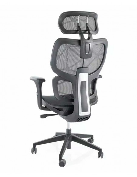 Silla de Director - Devon