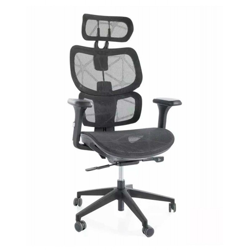 Silla de Director - Devon