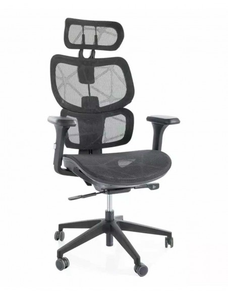 Silla de Director - Devon