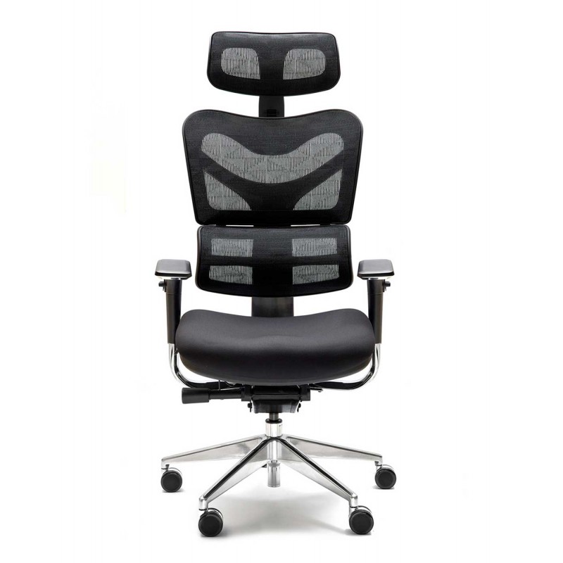 Sillón Ergonómico New Ergostone