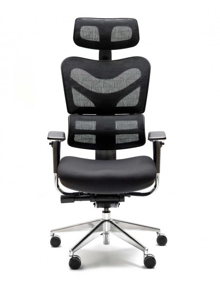 Sillón Ergonómico New Ergostone
