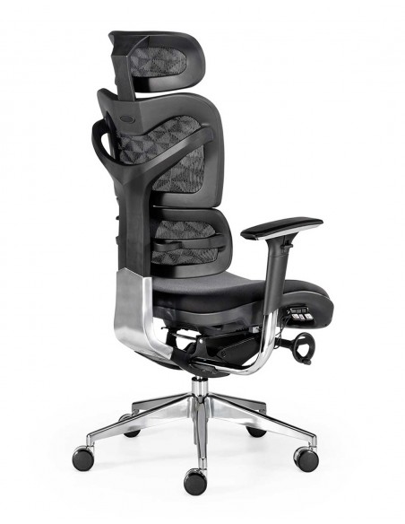Sillón Ergonómico New Ergostone