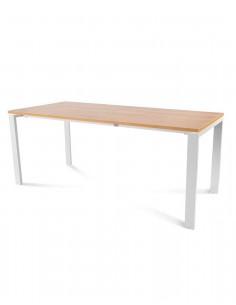 MESA INDIVIDUAL MODELO TOTAL