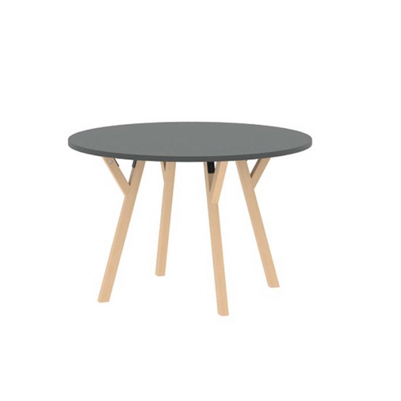 Mesa de Colectividades NEXOS - Redonda