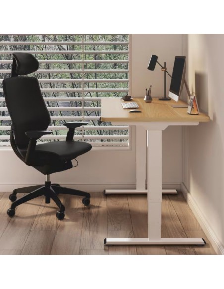 Mesa Elevable Ajustable en Altura con Doble Motor - SIMPLE