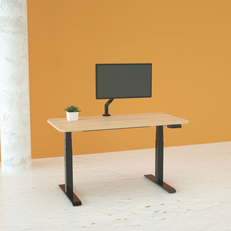 Mesa Elevable Ajustable en Altura con Doble Motor
