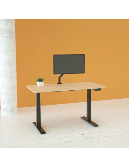 Mesa Elevable Ajustable en Altura con Doble Motor