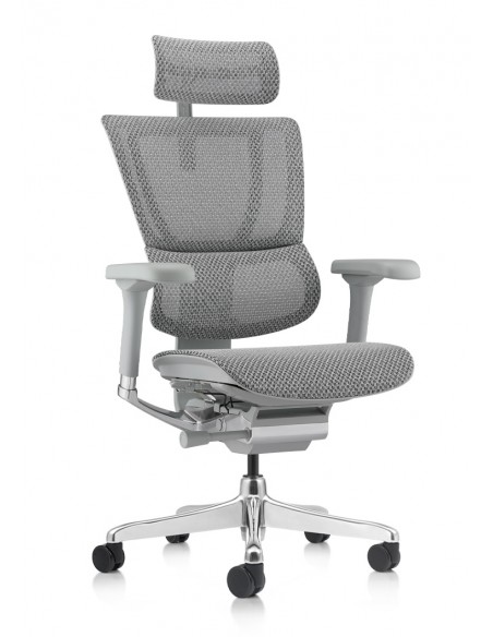 Silla Direccional Elite
