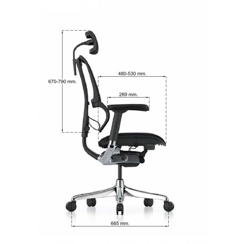 Silla Direccional Elite
