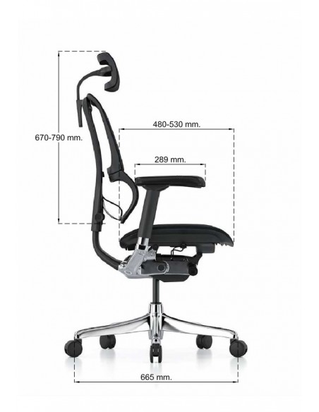 Silla Direccional Elite