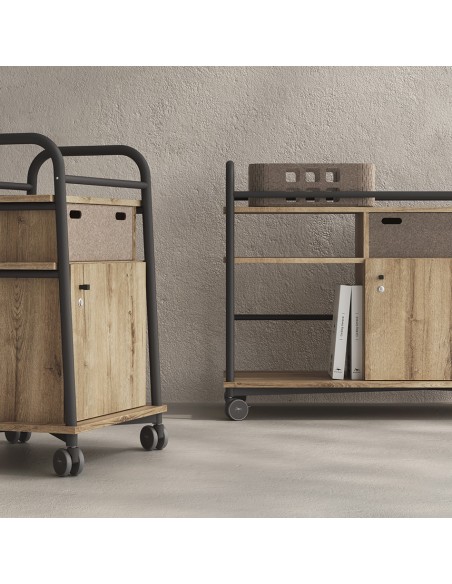 Carro Modular - Tamaño L (SIN ARMARIO)