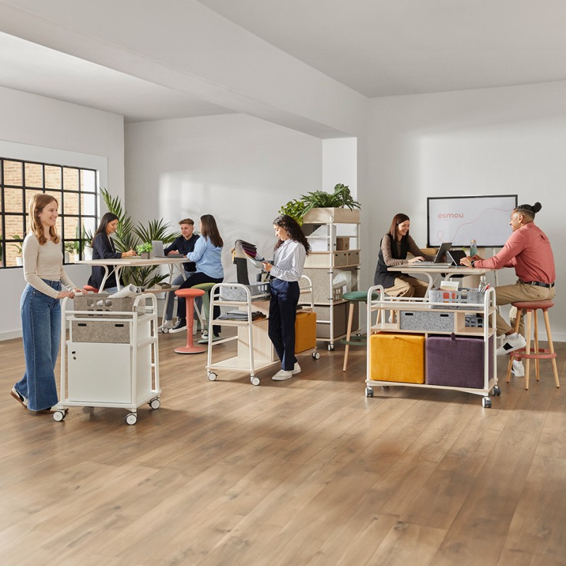 Carro Modular - Tamaño L (SIN ARMARIO)