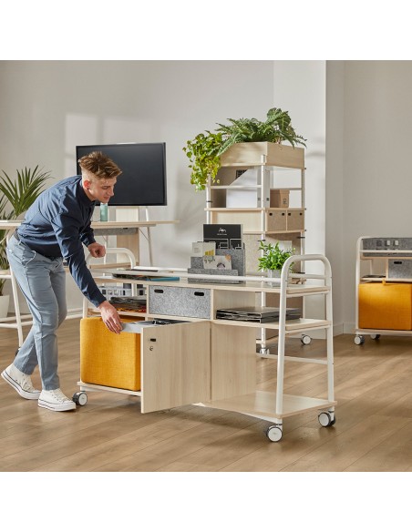 Carro Modular - Tamaño L (SIN ARMARIO)