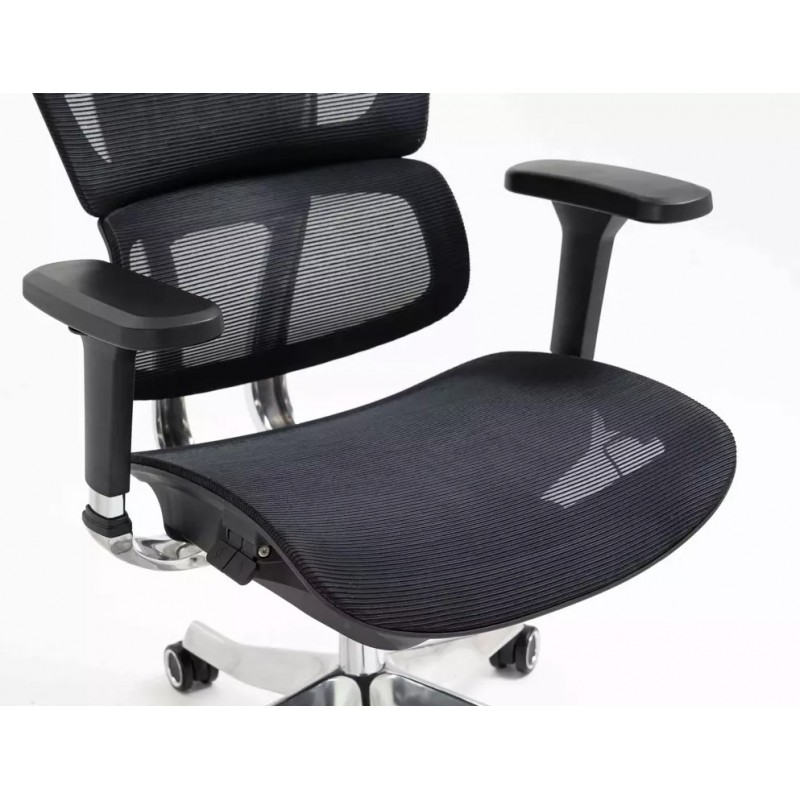 Silla de Director - Winner LUX