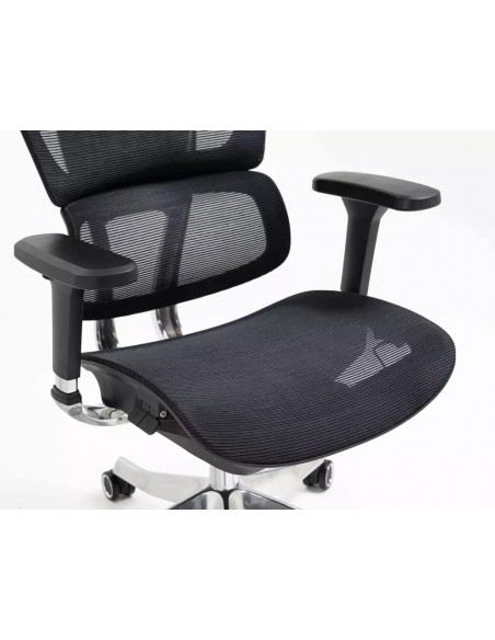 Silla de Director - Winner LUX