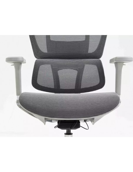Silla de Director - Winner LUX