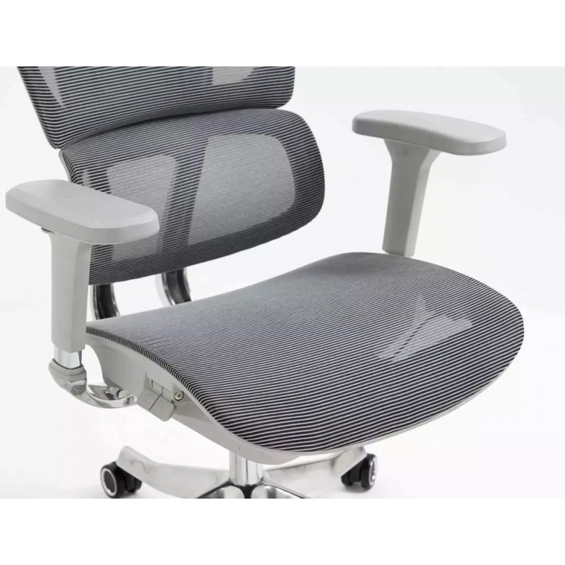 Silla de Director - Winner LUX