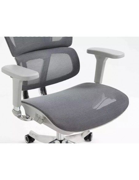 Silla de Director - Winner LUX