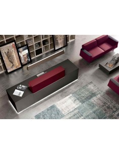 Mostrador de Recepción Z1 2