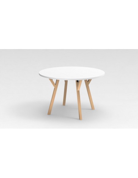 Mesa de Colectividades NEXOS - Redonda