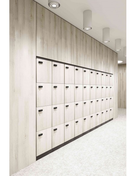 Taquillas de Oficina
