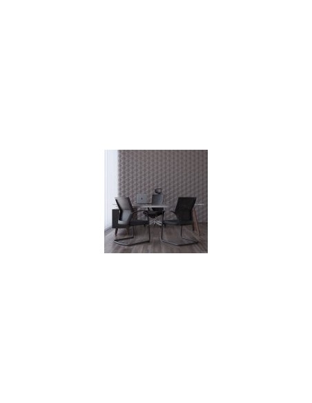 Silla de Confidente T50
