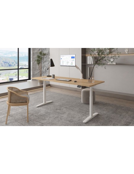 Mesa Elevable Ajustable en Altura con Doble Motor - Patas Ovaladas