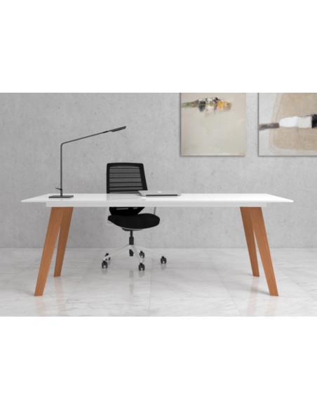 Mesa Direccional - BENI