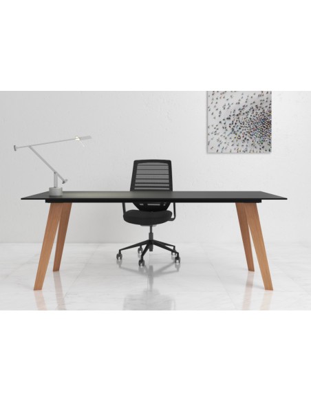 Mesa Direccional - BENI