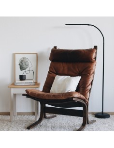 Lampara de Pie Led MAULPIRRO 2