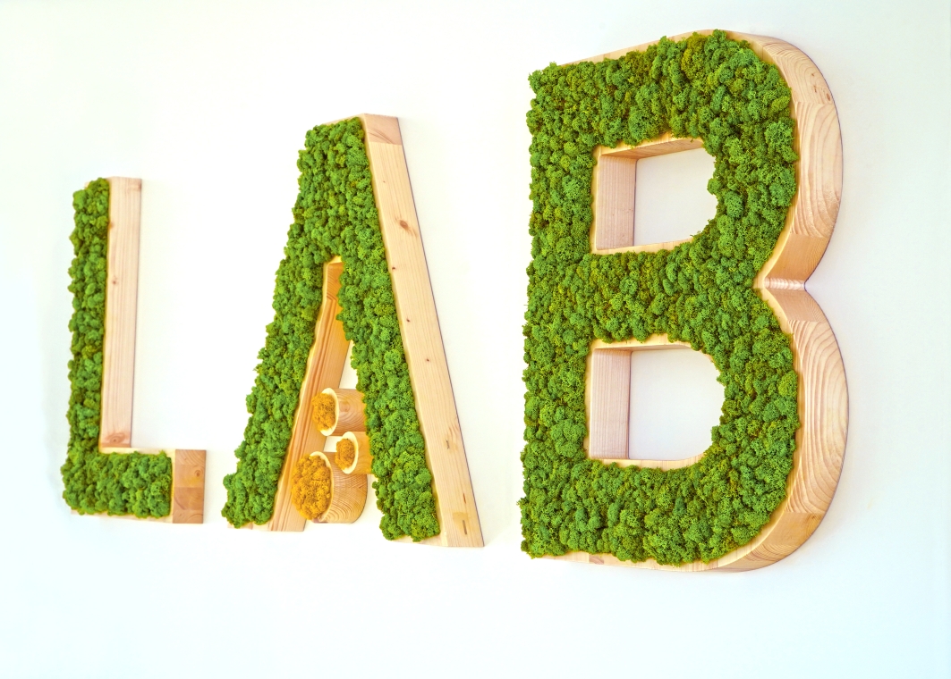Lab 7