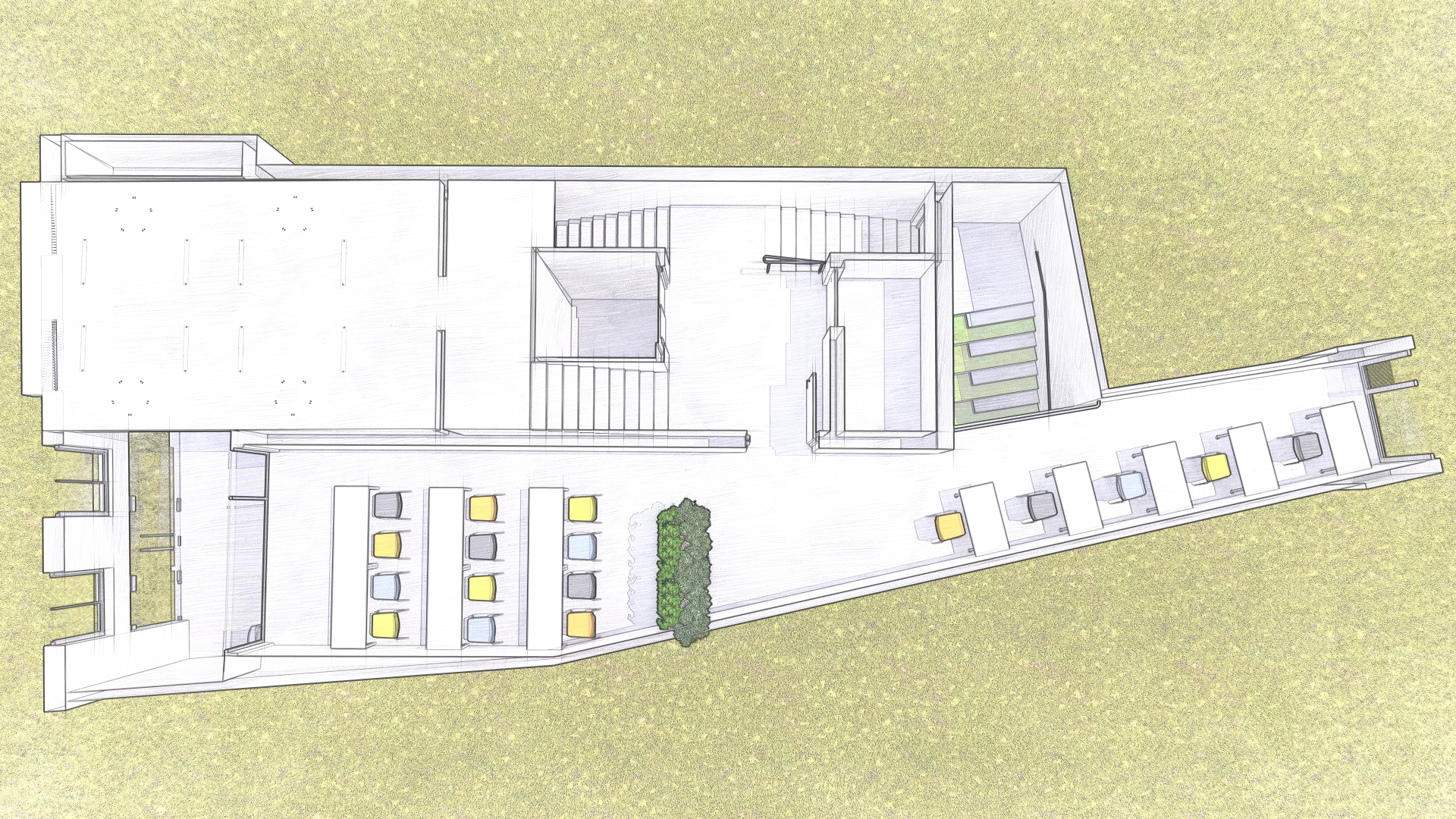 Planta Jove 2