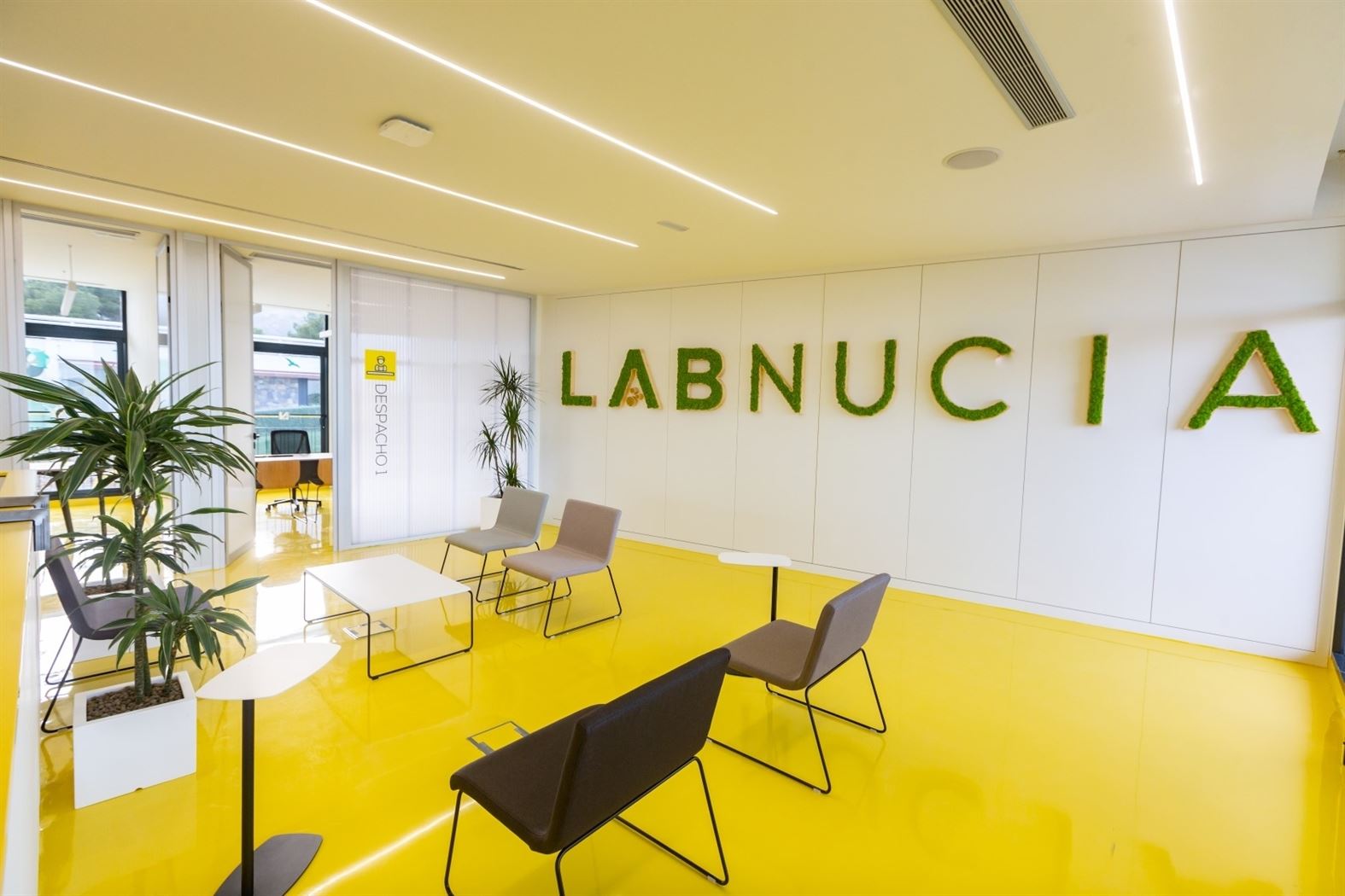 Lab Nuc&iacute;a 2
